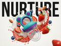 Baby Fruit Feeder and Silicone Nibbler / Pacifier